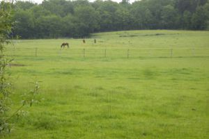 Fossés-Et-Baleyssac