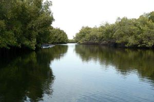 Ndoubouthe  Village Sur La Transgambiene Apres Toubacouta