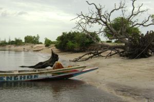 Ndoubouthe Village Sur La Transgambiene Apres Toubacouta