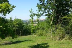 Cordes-Sur-Ciel