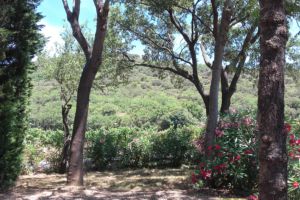 Fontès
