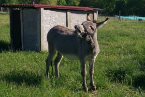 Belmont-Sainte-Foi